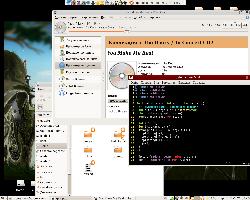 Рабочий стол Ubuntu 8.04.2