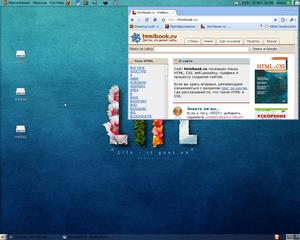 Ubuntu 9.04 Jaunty Jackalope и Chromium web brouser